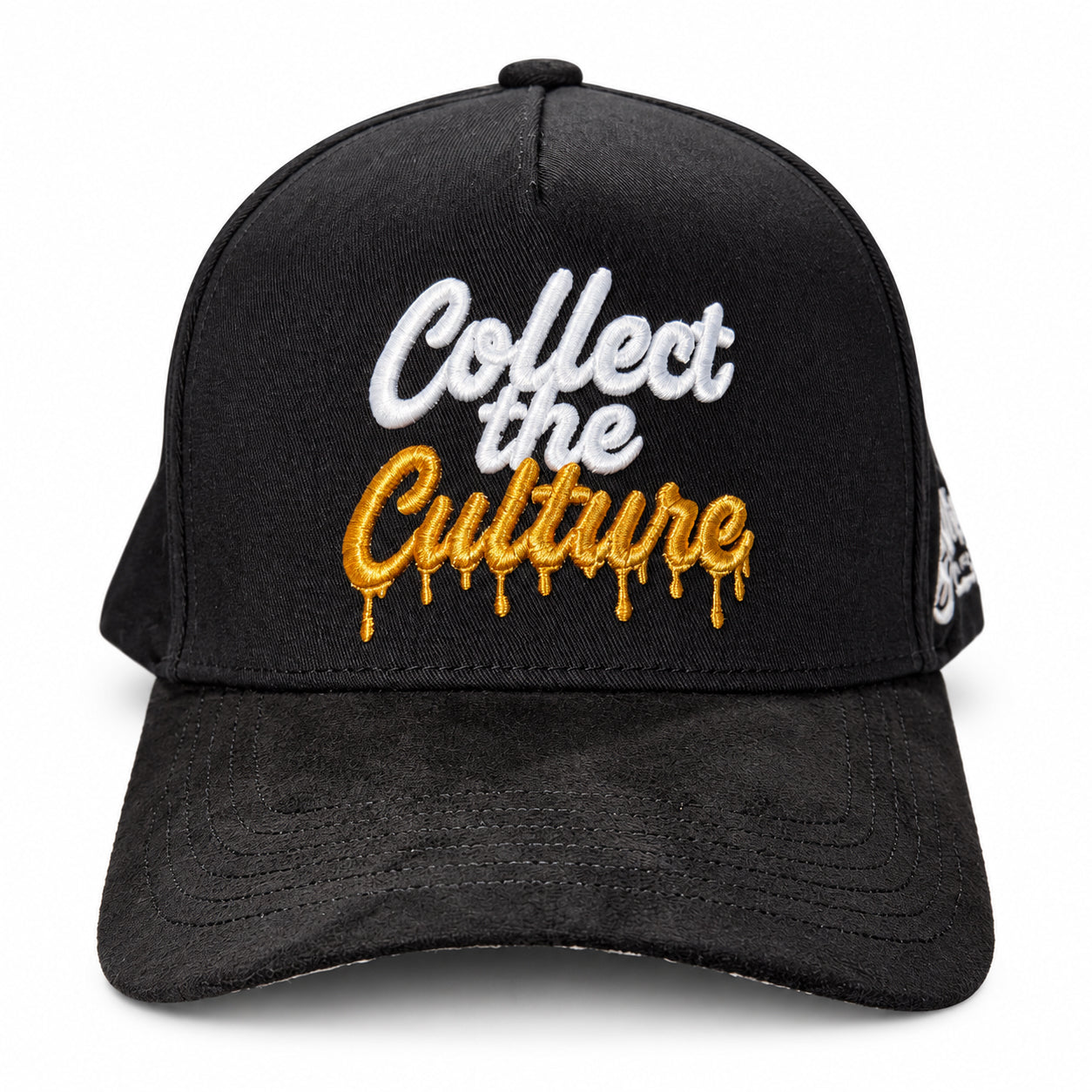 Collect the Culture Snapback