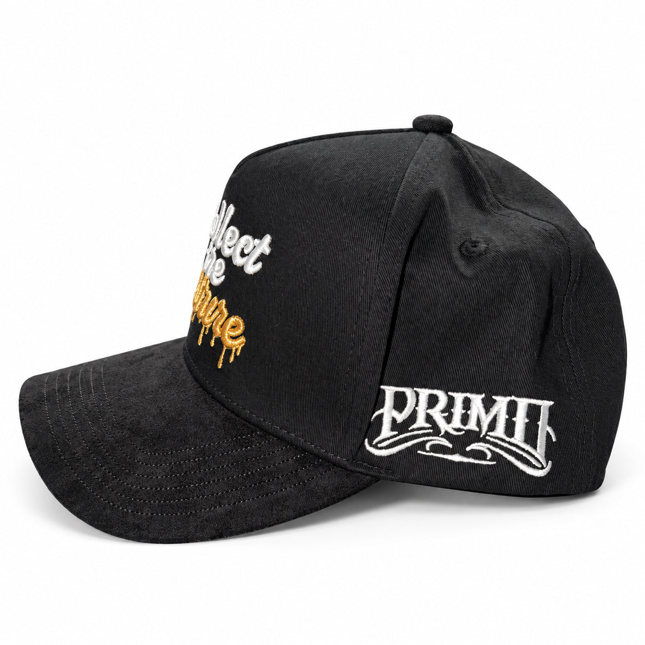 Collect the Culture Snapback