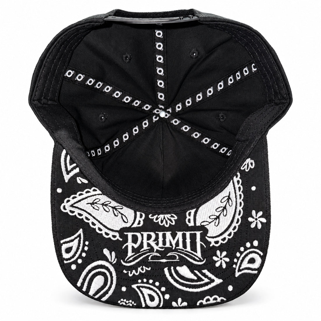 Collect the Culture Snapback